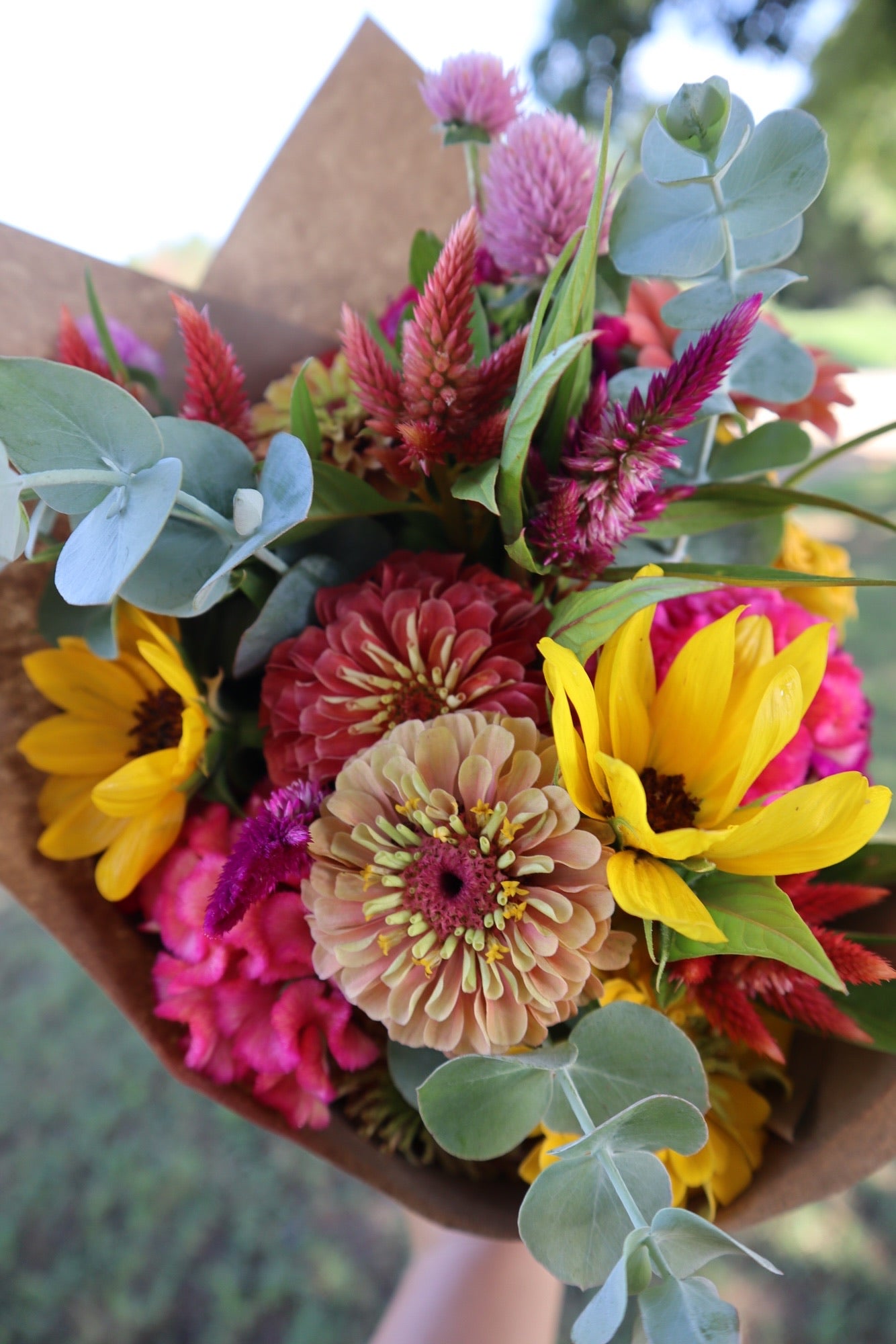 2025 Fall CSA