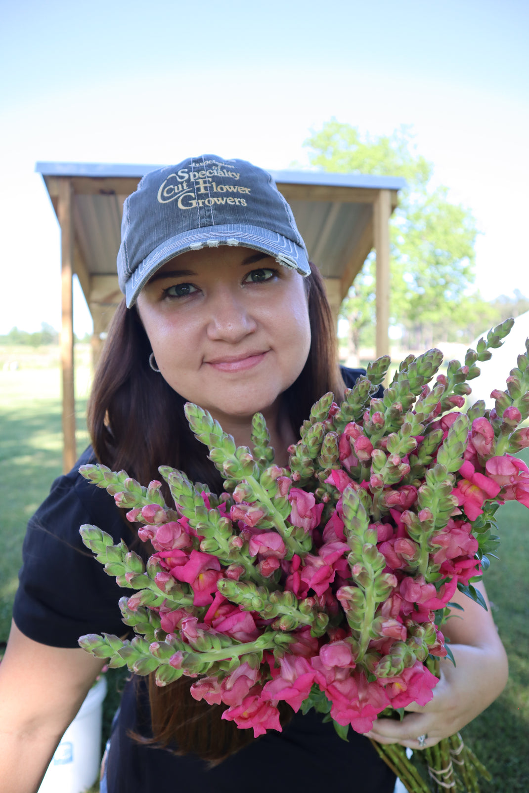 About – Field Cut Flowers