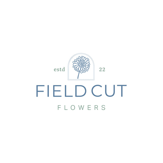 Photography Field Rental