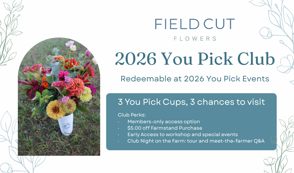 You Pick Program 2026 You Pick Club – Field Cut Flowers